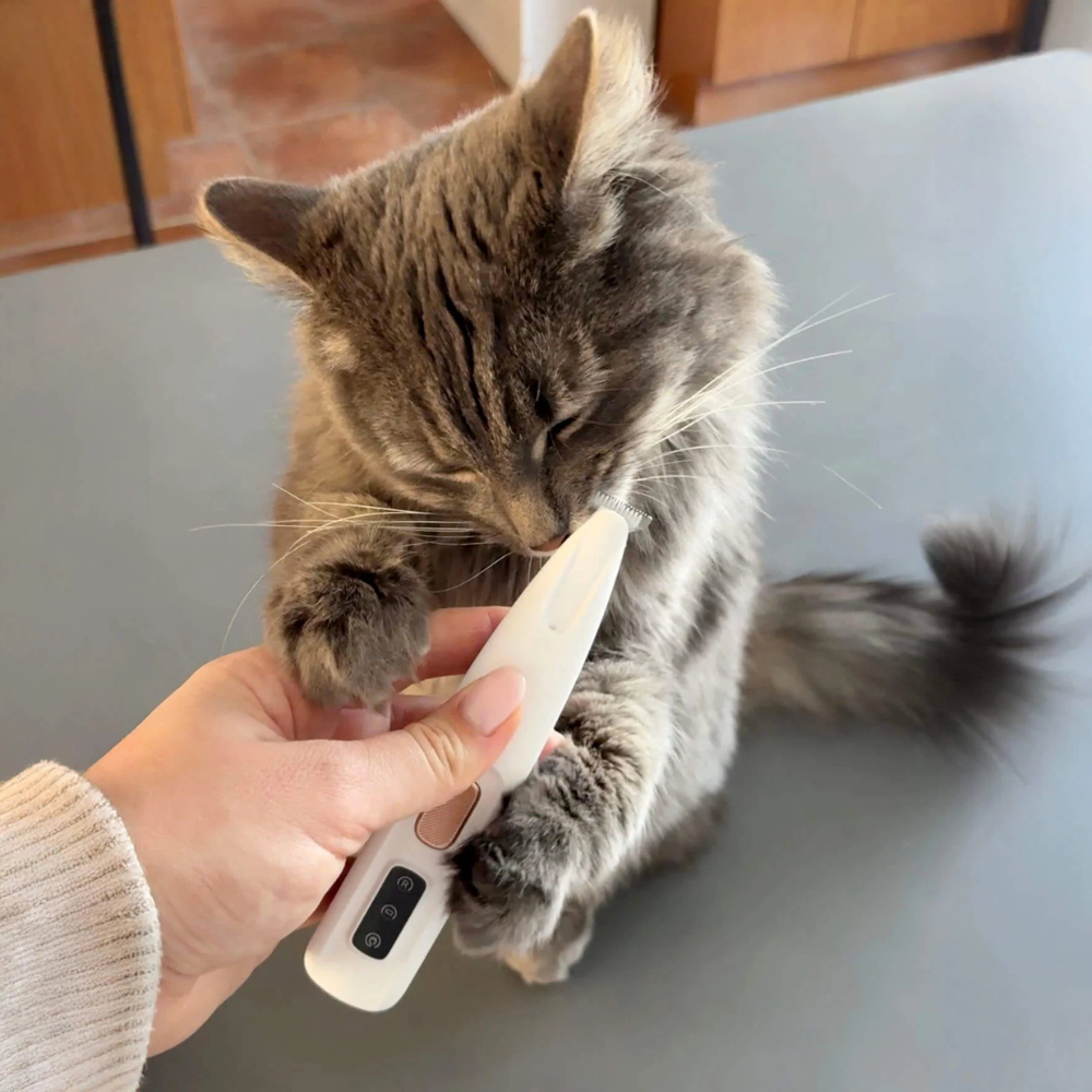 Accorcia Peli per Gatti
