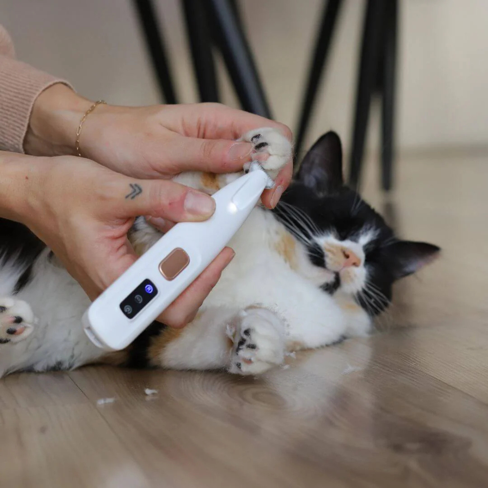 Accorcia Peli per Gatti