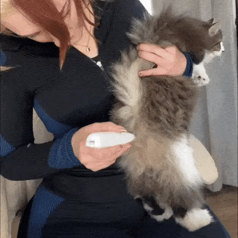 Accorcia Peli per Gatti